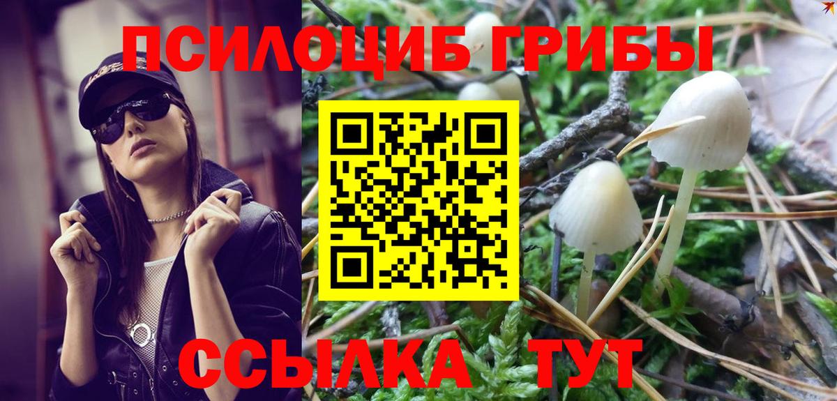 Алатырь  Галлюциногенные грибы MAGIC MUSHROOMS  Вход с VPN 