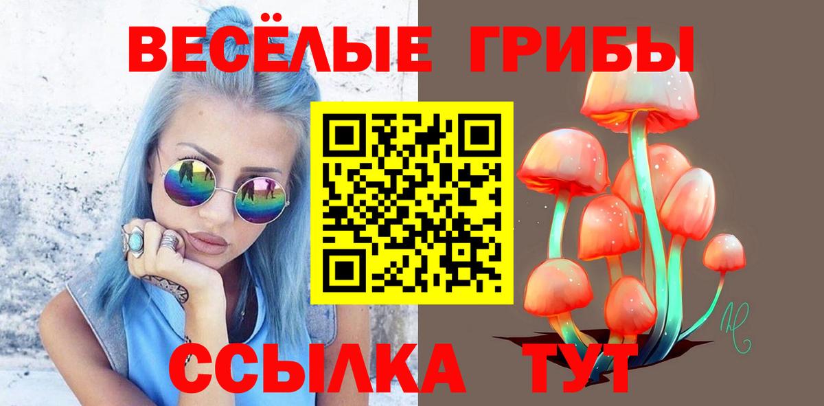 Галлюциногенные грибы мицелий Алатырь